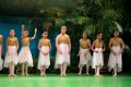 Tropical Island 10A 51